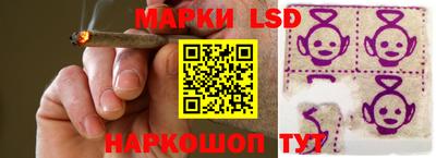 гидропоника Тверь