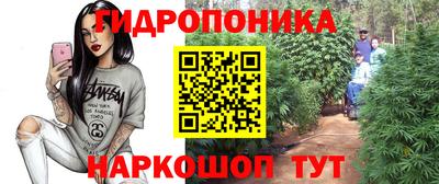 гашиш Тара