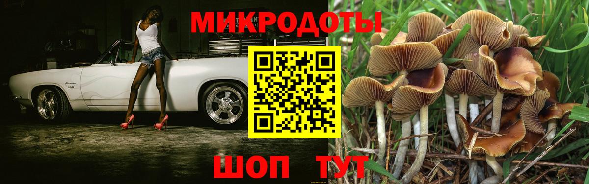 Галлюциногенные грибы MAGIC MUSHROOMS Дагестанские Огни