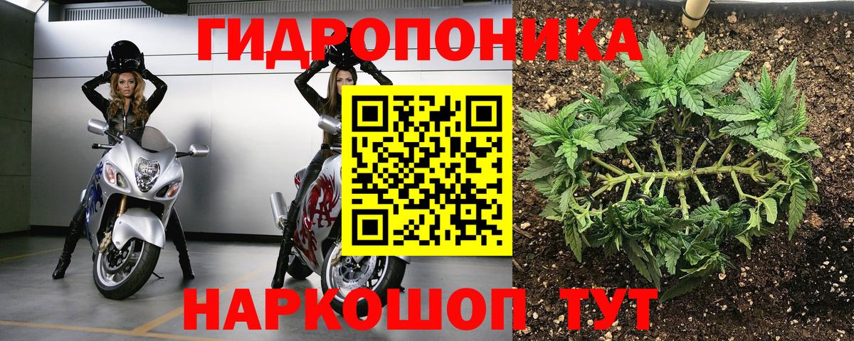 Каннабис ГИДРОПОН  Марихуана Amnesia  Канабис Bruce Banner  Вход с VPN  Дагестанские Огни 